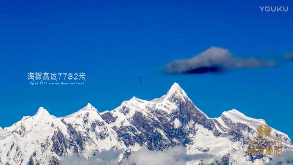 生日能干点什么有意义的事情？游戏画面